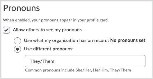 The area under Account Settings, where you can set your pronouns.