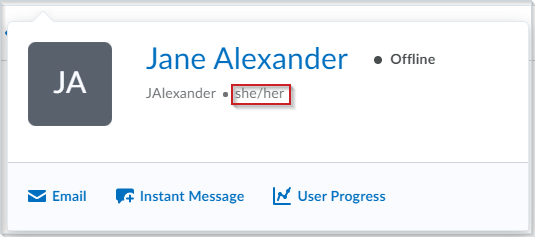 A user profile card with the pronouns displayed.
